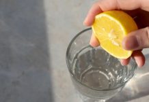 How Lemon Helps Regulate Bowel Function, Balance Cholesterol, and Reduce Abdominal Fat